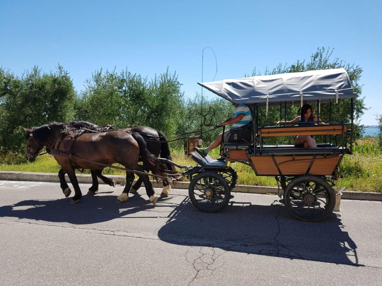 Lamasu Rioverde - Lago Di Garda San Felice del Benaco Ngoại thất bức ảnh